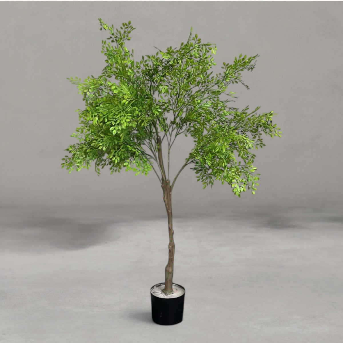 HANKI Boxwood faux topiary home decor George Western Cape