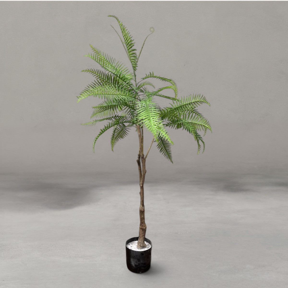 HANKI Fern faux plant home decor South Africa